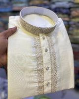 Embroidered Festive Kurta