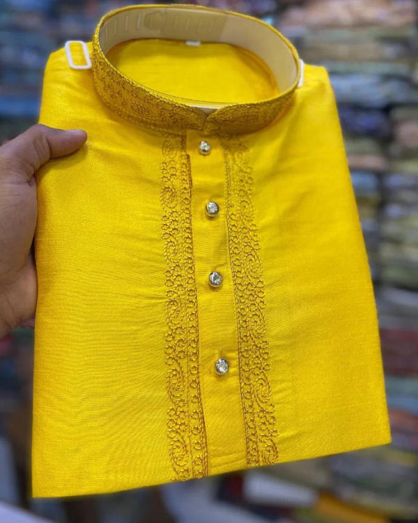 Embroidered Festive Kurta