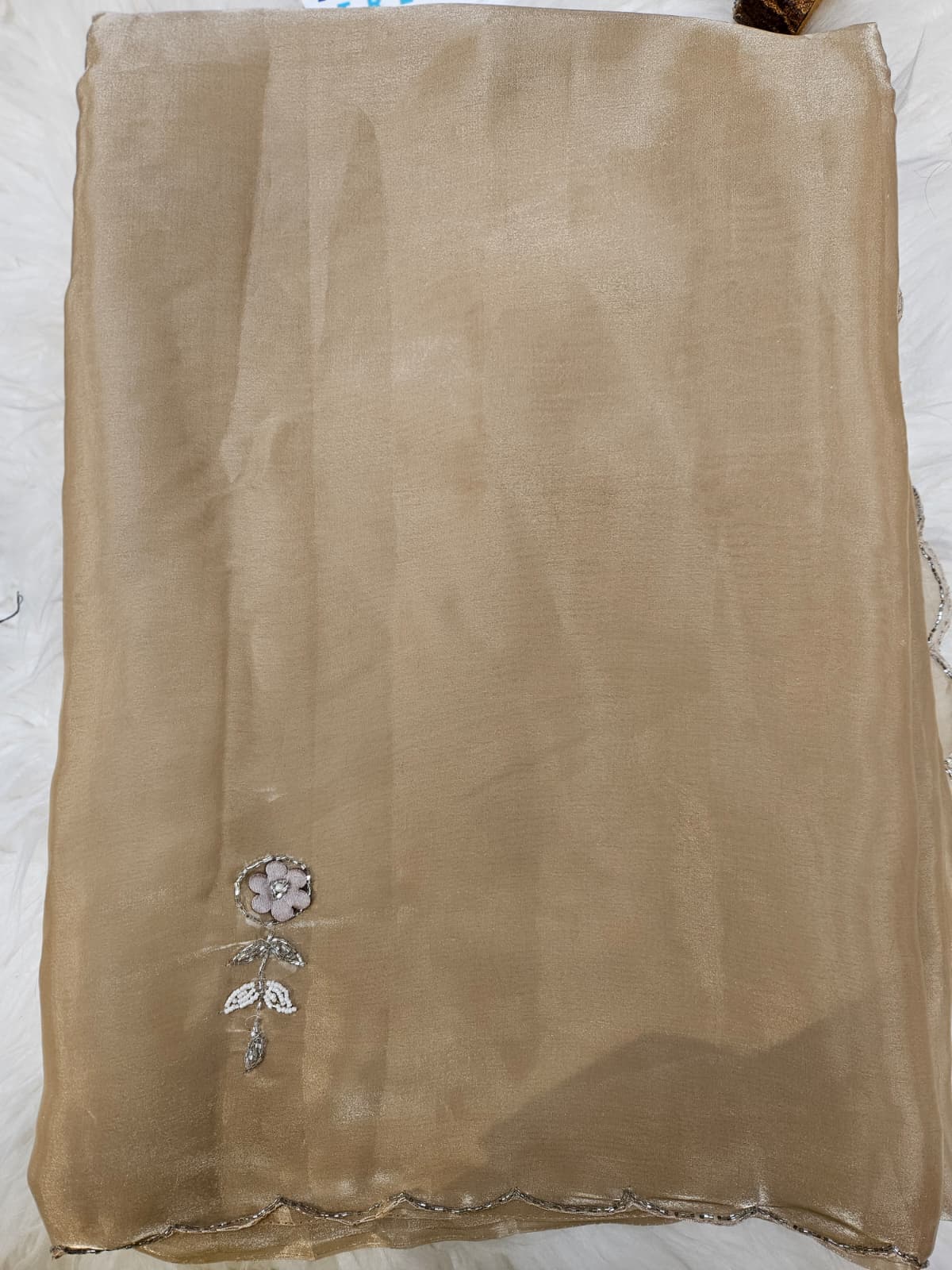 Black Embroidered Designer Blouse with Beige Organza Saree – Elegant Party Wear Saree Set