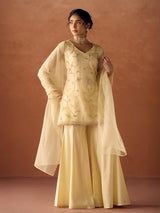 Hand Embroidered Palazzo set